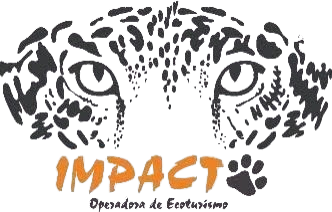 Impacto